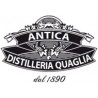 Vermouth del Professore - Antica Distilleria Quaglia